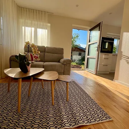 Hébergement de vacances Le Beethoven Colmar