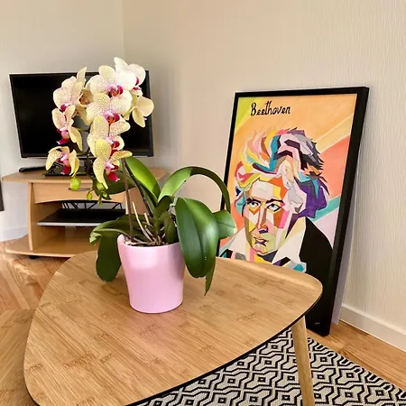 Le Beethoven Hébergement de vacances Colmar